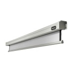 Celexon, Motor Professional, Leinwand, 1:1, elektrisch, 220x220cm