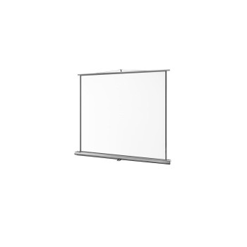 Celexon, Ultramobil Professional, Leinwand, 1:1, manuell, 160x160cm