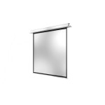 Celexon Encastrable au plafond Motor Professional Plus 220x220cm 1:1