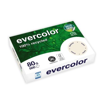 Clairefontaine Kopierpapier Evercolor, A4, chamois, 500 Blatt, 80gm2