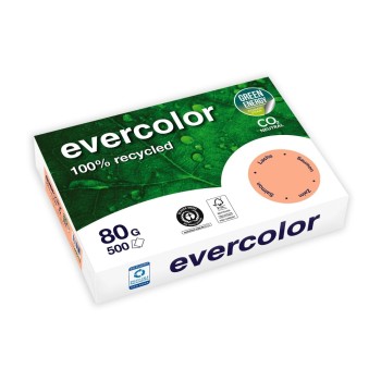Clairefontaine Kopierpapier Evercolor, A4, lachs, 500 Blatt, 80gm2