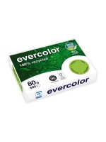 Clairefontaine Papier pour photocopie Evercolor A4, Vert tilleul, 80 g/m²,500 Blatt