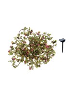 COCON Guirlande lumineuse Fleurs solaires LED, 10 m