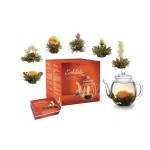 Creano Erblühtee Weisser Tee Geschenkset, 6 Teeblumen, 1 Creano Teekanne
