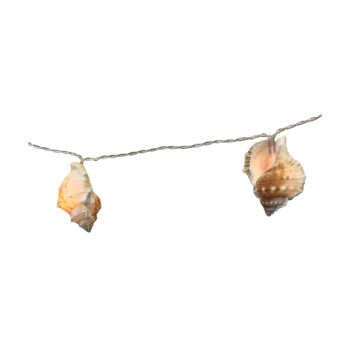 Dameco LED Lichterkette Muschel indoor, LED ww, L135cm + 30cm, Timer, exkl 3xAA Dameco LED Lichterkette Muschel indoor, LED ww, L135cm + 30cm, Timer, exkl 3xAA