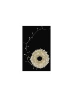 Dameco LED Lichterkette, Outdoor, Microlight, 500 LED, L: 10m