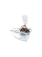 Decora sachet 100 Pièce/s, Clair/Transparent