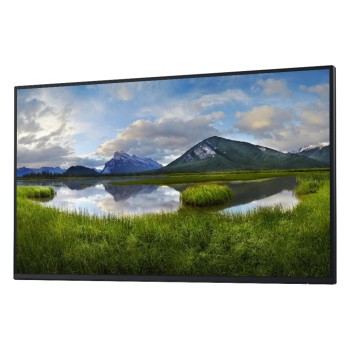 DELL Moniteur P2725H WOST sans pied DELL Moniteur P2725H WOST sans pied