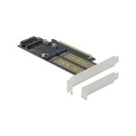 Delock Adaptateur de bus hôte PCI-Ex16v4 - M.2 Key-B, Key-M, mSATA