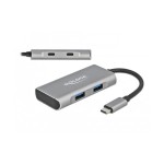 Delock USB 3.1 Hub