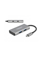 Delock USB 3.1 Hub, 2x USB Typ-A + 2x Type-C, Plug & Play