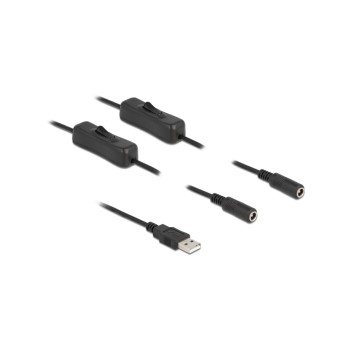 Delock USB-AStecker for 2x DC 5.5x2.1mm,1m, with Schalter,1m,black  Delock USB-AStecker for 2x DC 5.5x2.1mm,1m, with Schalter,1m,black