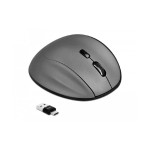 Delock optische 5 Tasten Maus Bluetooth, USB 2.4GHz, Rechtshänder