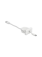 Delock Easy 45 Module USB 2.0 Câble à dérouler USB A - USB C 0.62 m