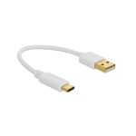 Delock Câble chargeur USB USB A - USB C 0.15 m