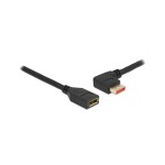 Delock Câble de rallonge Coudé à gauche DisplayPort, 2 m