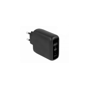 Delock Netzteiladapter USB-C and USB-A, with 20 W + 12 W Delock Netzteiladapter USB-C and USB-A, with 20 W + 12 W