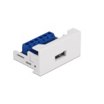 Delock Adaptateur USB 2.0 Easy 45 Module Bloc de terminaison - Prise USB A