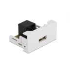 Delock Easy 45 Module 22.5 x 45 mm RJ45 - Prise USB A