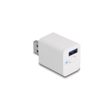 Delock WLAN EASY-USB, Smart Schalter MQTT