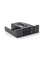 Delock Rack amovible U.2 NVMe 2.5