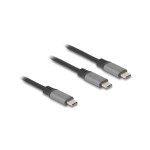 Delock Câble en Y USB 2.0 USB C - USB C 1.2 m