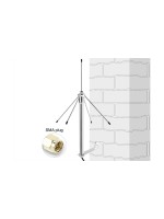 Delock Antenne SMA 3 dBi Rayonnement directionnel