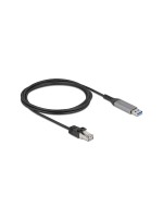 Delock Câble LAN USB Filaire/LAN (RJ45)/USB Type-A