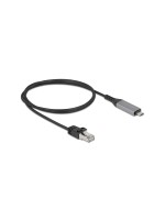 Delock Câble LAN USB Filaire/LAN (RJ45)/USB Type-C