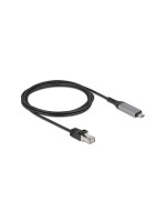 Delock Câble USB-LAN Filaire/LAN (RJ45)/USB Type-C