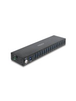 Delock Hub industriel (16 ports USB 5 Gbps de type A)