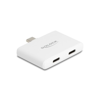 Delock USB Type-C Adapter, 10 Gbps, 4K 60 Hz, 92 W, Weiss Delock USB Type-C Adapter, 10 Gbps, 4K 60 Hz, 92 W, Weiss