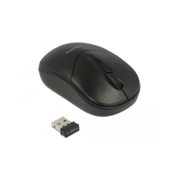 Delock Souris portable 12494 USB sans fil Delock Souris portable 12494 USB sans fil