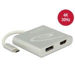 Delock Multiadaptateur 4K, 30 Hz USB type C - HDMI/DisplayPort