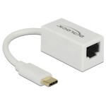 Delock Adaptateur réseau USB-C - RJ45 1Gbps, Blanc