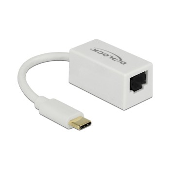 Delock USB3.1 Typ-C for LAN Adapter, 10/100/1000Mbps Gigabit, white, Kompakt