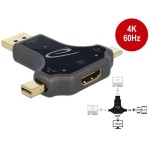 Delock Adaptateur USB-C, DisplayPort, miniDisplayPort sur HDMI