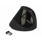 Delock Souris ergonomique 12599 USB sans fil