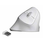 Delock Souris ergonomique 12596 USB sans fil