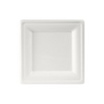 Duni Assiettes jetables 20 x 20 cm Blanc 500 pcs/Krt (10 x 50 pcs)