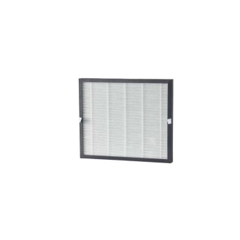 Ecofort ecoQ DryAir 2 en 1 filtre combiné HEPA & charbon actif, 1 Pièce/s