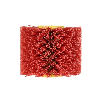 Einhell Brosse abrasive en nylon 120 x 100 mm