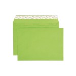 ELCO Enveloppe Color C5, Sans fenêtre, 25 Pièce/s, Vert