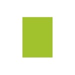 ELCO Papier pour photocopie Color A4, vert, 80 g/m²,100 Blatt