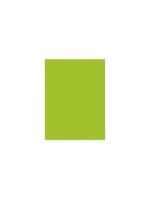 Elco Büropapier Color A4, 80 g/m²,, intensiv grün, 100 Stk