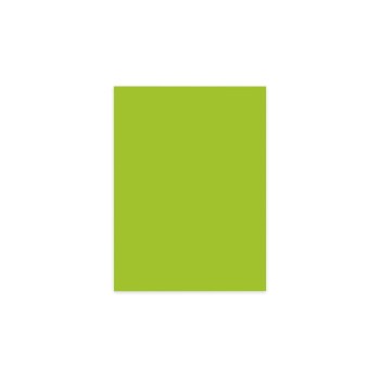 Elco Büropapier Color A4, 80 g/m²,, intensiv grün, 100 Stk Elco Büropapier Color A4, 80 g/m²,, intensiv grün, 100 Stk