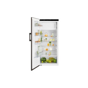 Electrolux Kühlschrank EK242SLBR