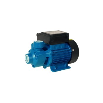 Elpumps Kreiselpumpe PP 60, H max 40.0 m, Q max 2400 l/h, 0.55 kW Elpumps Kreiselpumpe PP 60, H max 40.0 m, Q max 2400 l/h, 0.55 kW