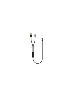 espresso Displays Câble Mini DisplayPort/USB Type-A - USB type C, 1 m