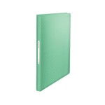Esselte Colour'ICE Sichtbuch A4 80 Blatt, grün